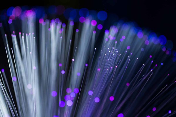 Quels sont les avantages de l'utilisation de la fibre optique dans une infrastructure de réseau d'entreprise?