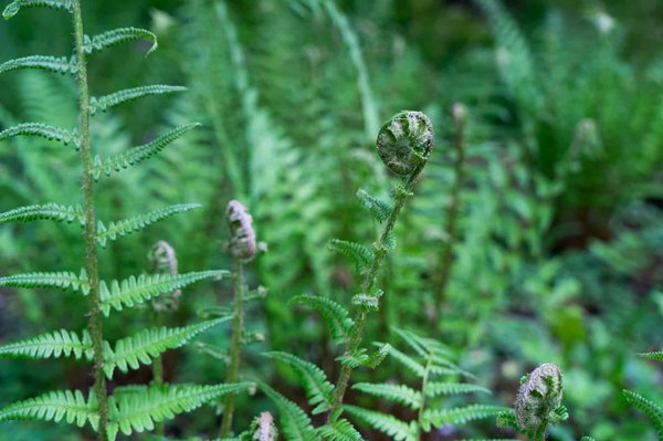Comment 'Stardew Valley' aborde-t-il la gestion des ressources et la planification dans un contexte agricole virtuel ?